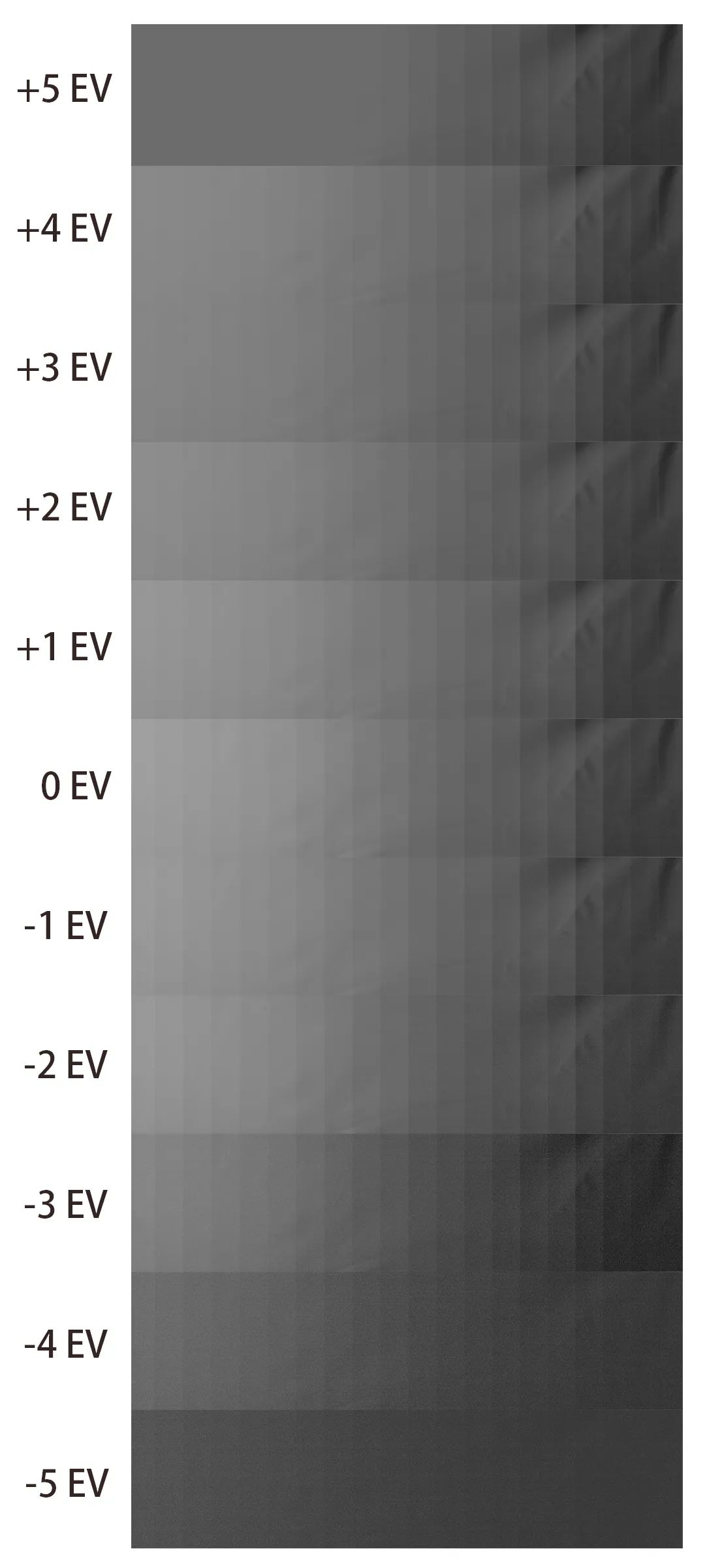 有必要升级佳能R3吗？详细为你分析R3摄影及视频性能