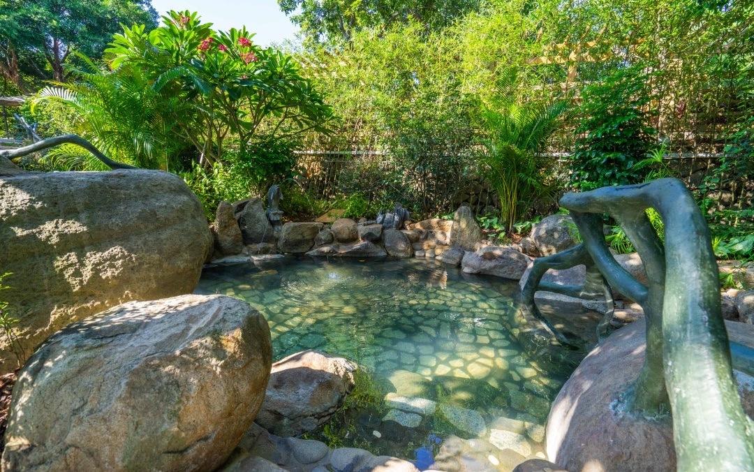 厦门泡温泉日月泉,冬季室外温泉别样感受