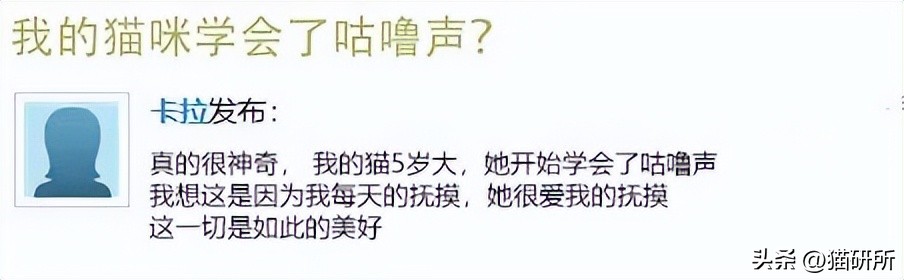 猫咪一摸就咕噜咕噜,可能是故意作秀…