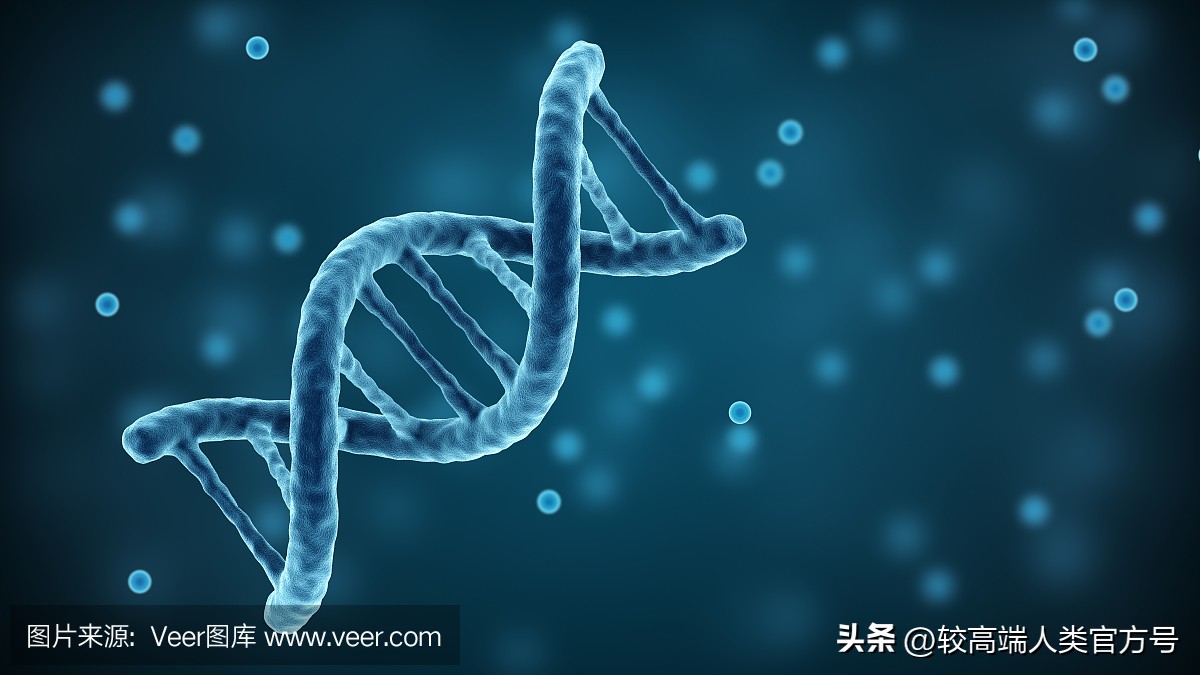 人类最深的洞,人类身上的洞