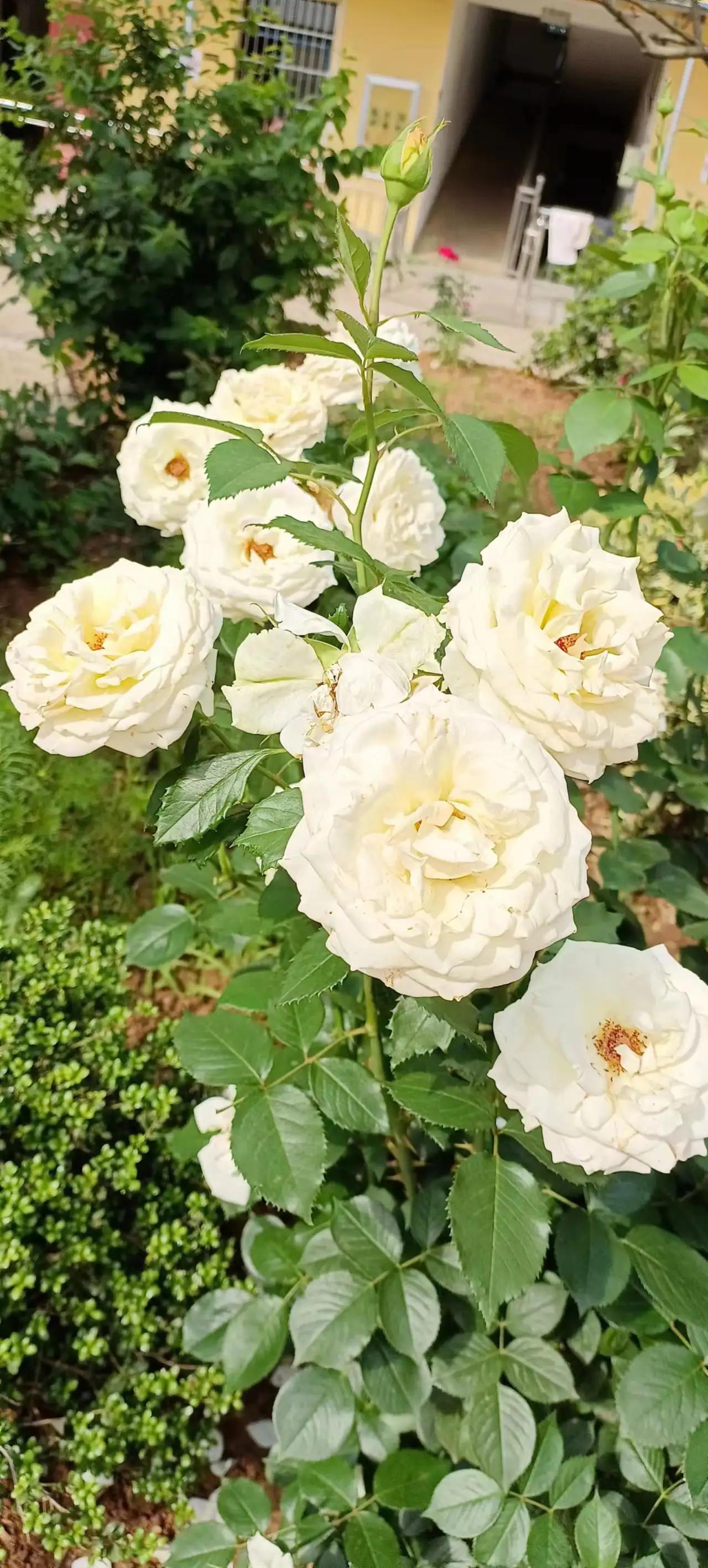 普通人的钱都是省出来的书单,钱到底是节约出来的还是挣出来的