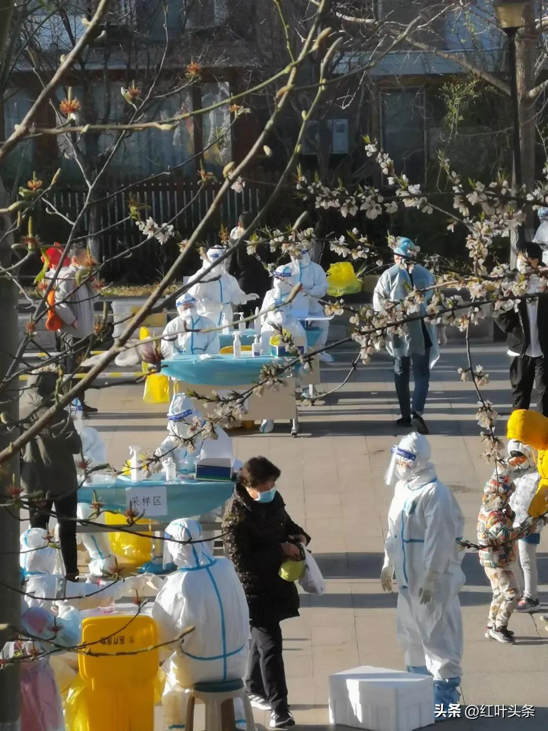 《卦里藏诗》之三.姜保坤