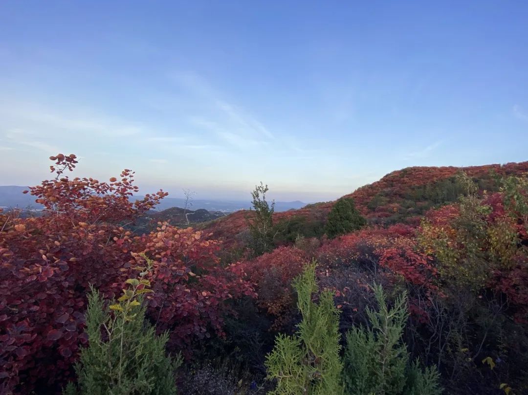 2022元旦郑州绿博园有活动吗,郑州周边免费的景点元旦假期