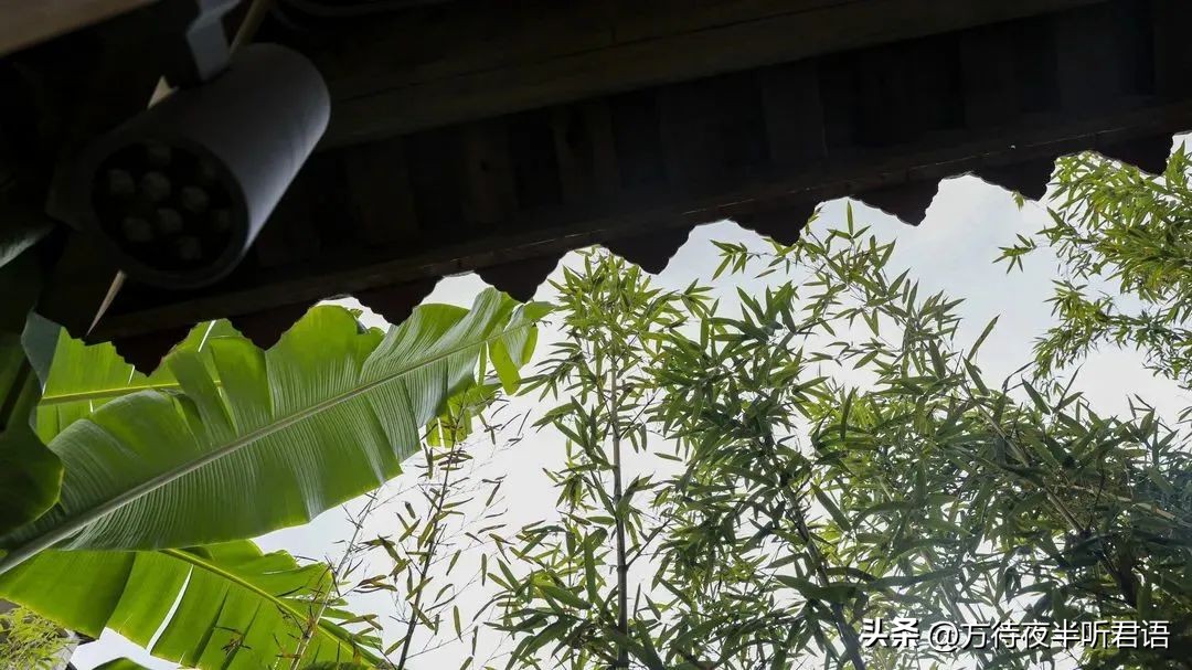 泉州小山丛竹书院,泉州小山丛竹