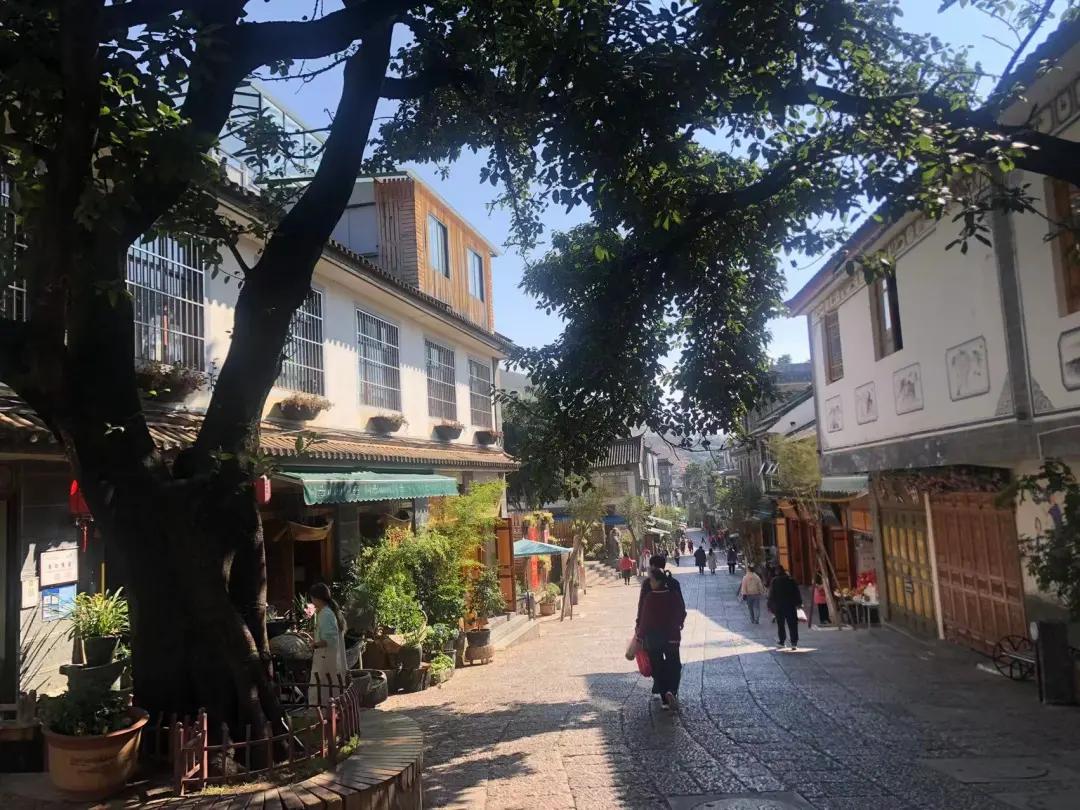 云南大理第一视角,云南苍洱风光之双廊古镇