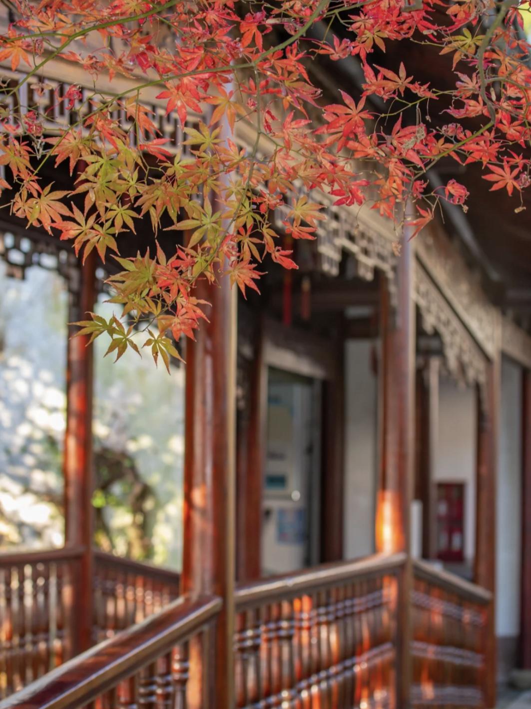 杭州秋日游攻略,杭州秋色上线这些赏秋地风景极佳