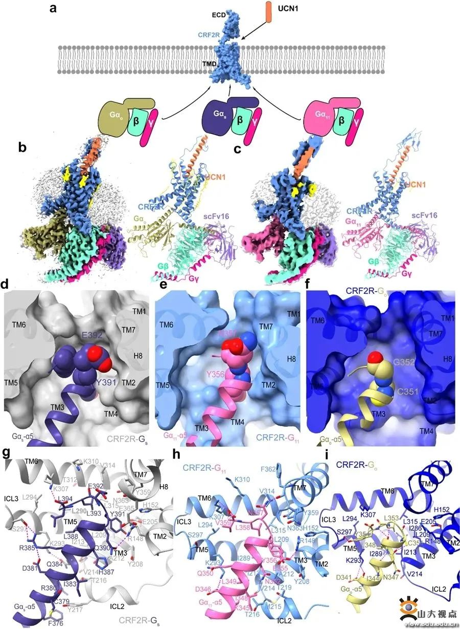 乘风破浪再奋进!姗姗带你看SDU最新学术一览