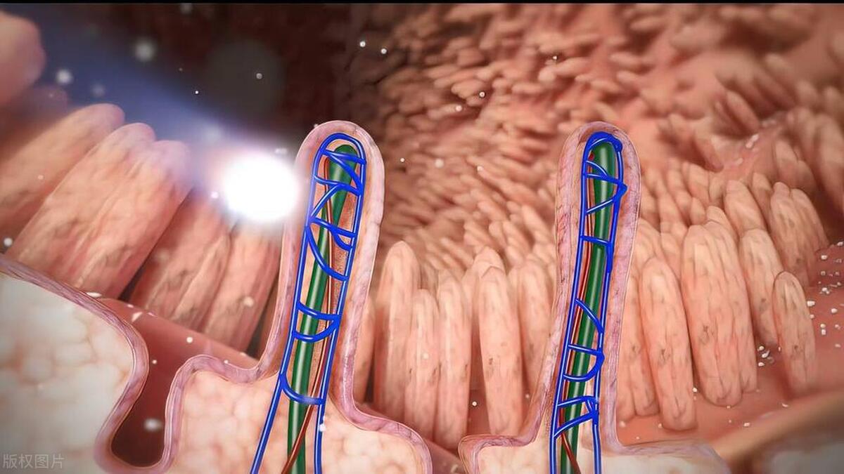 渴望亲密关系但又不知所措,夫妻无肉不欢双双查出直肠癌