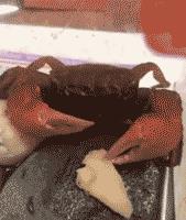 女婿和丈母娘搞笑对决,丈母娘对女婿发火搞笑视频