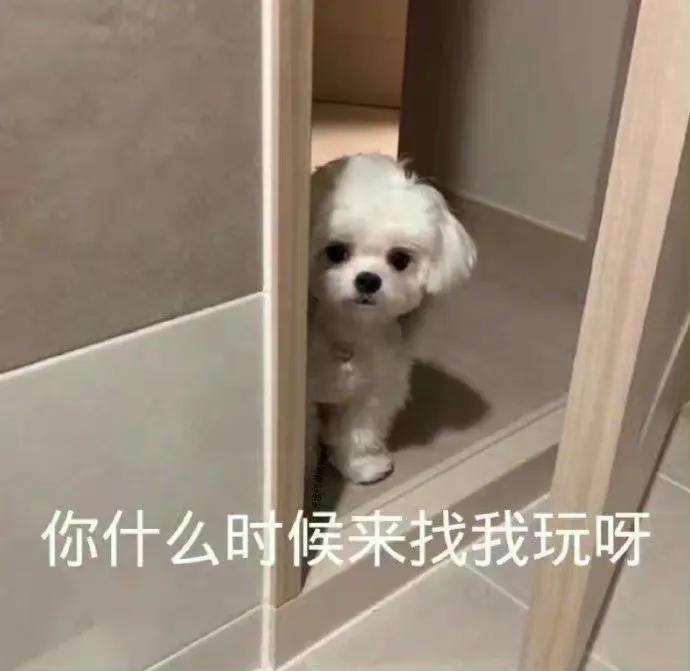 你能拿我怎样表情包自取,表情包你能拿我怎么样