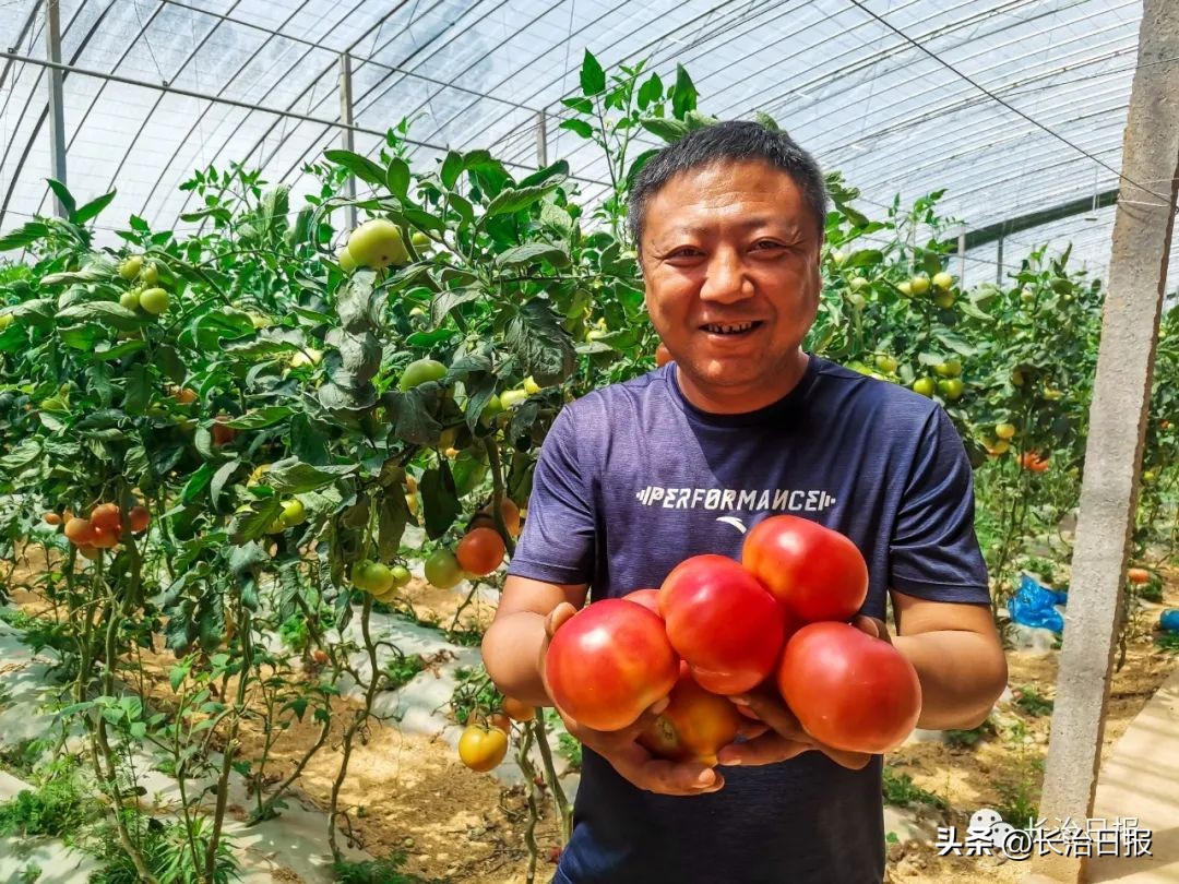 产业发展助推乡村振兴,产业振兴助推强村富民