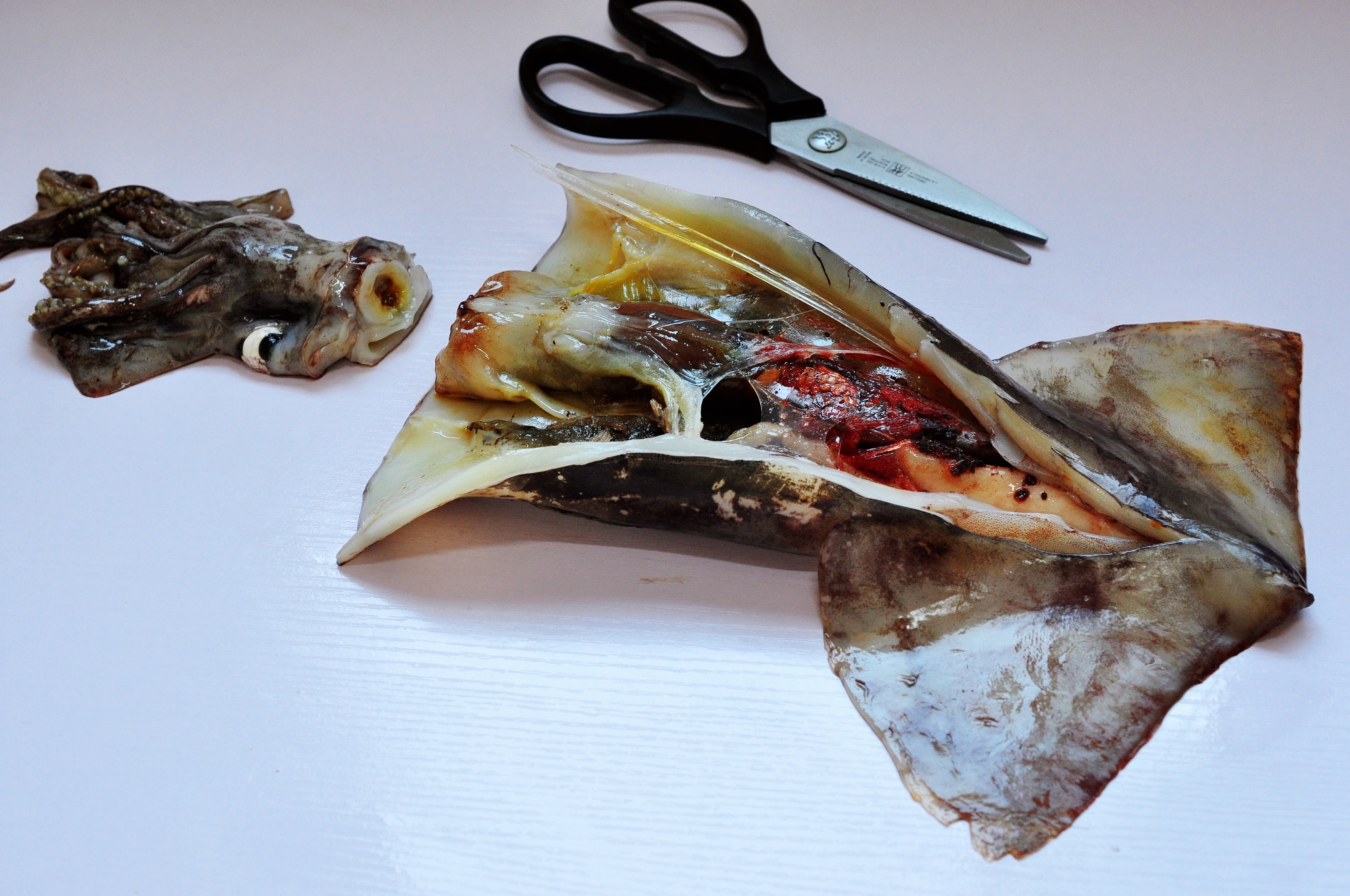 切干鱿鱼卷的正确方法,鱿鱼皮怎么撕干净利落