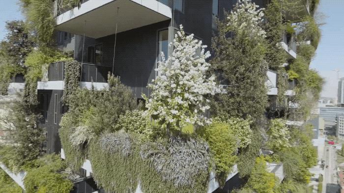 中国第一个垂直森林住宅项目,黄冈垂直森林住宅