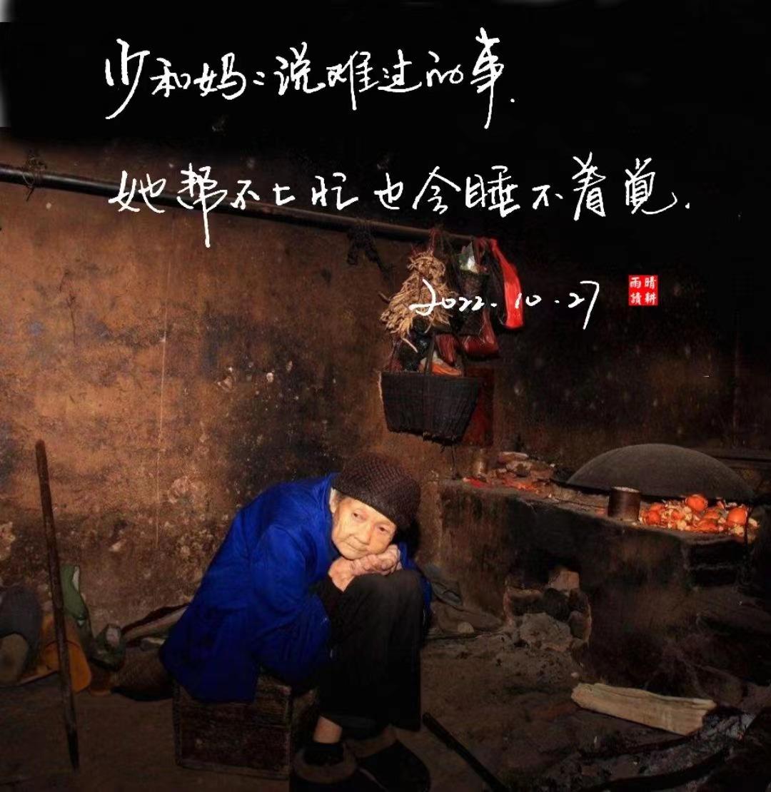 静待人间十一月，只愿，明朝清风吹晨夕，日子可静也可安