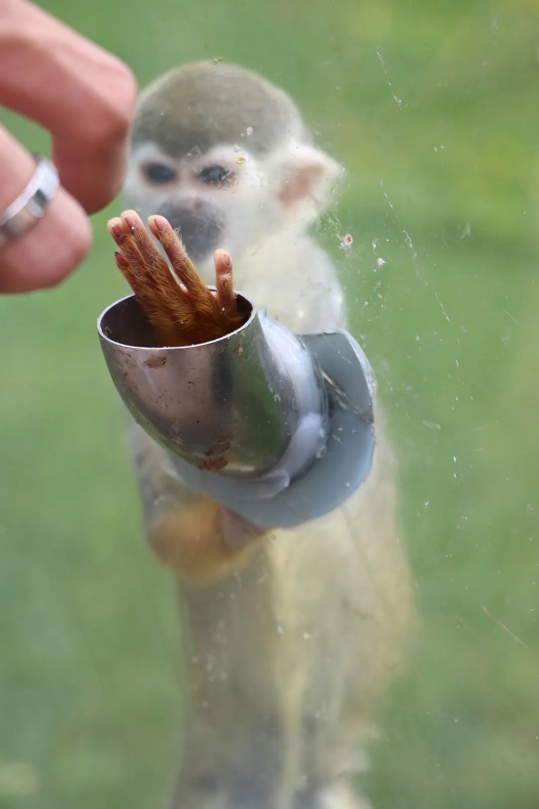 用AI绘图给黑龙江夏季避暑旅游，做几件“事件营销”