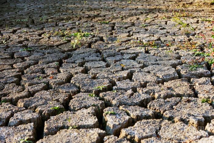 有治疗湿气的中医吗,有能治湿气的西药吗