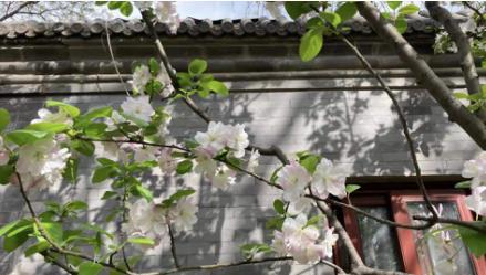 深大老师年薪多少,深大老师待遇怎么样