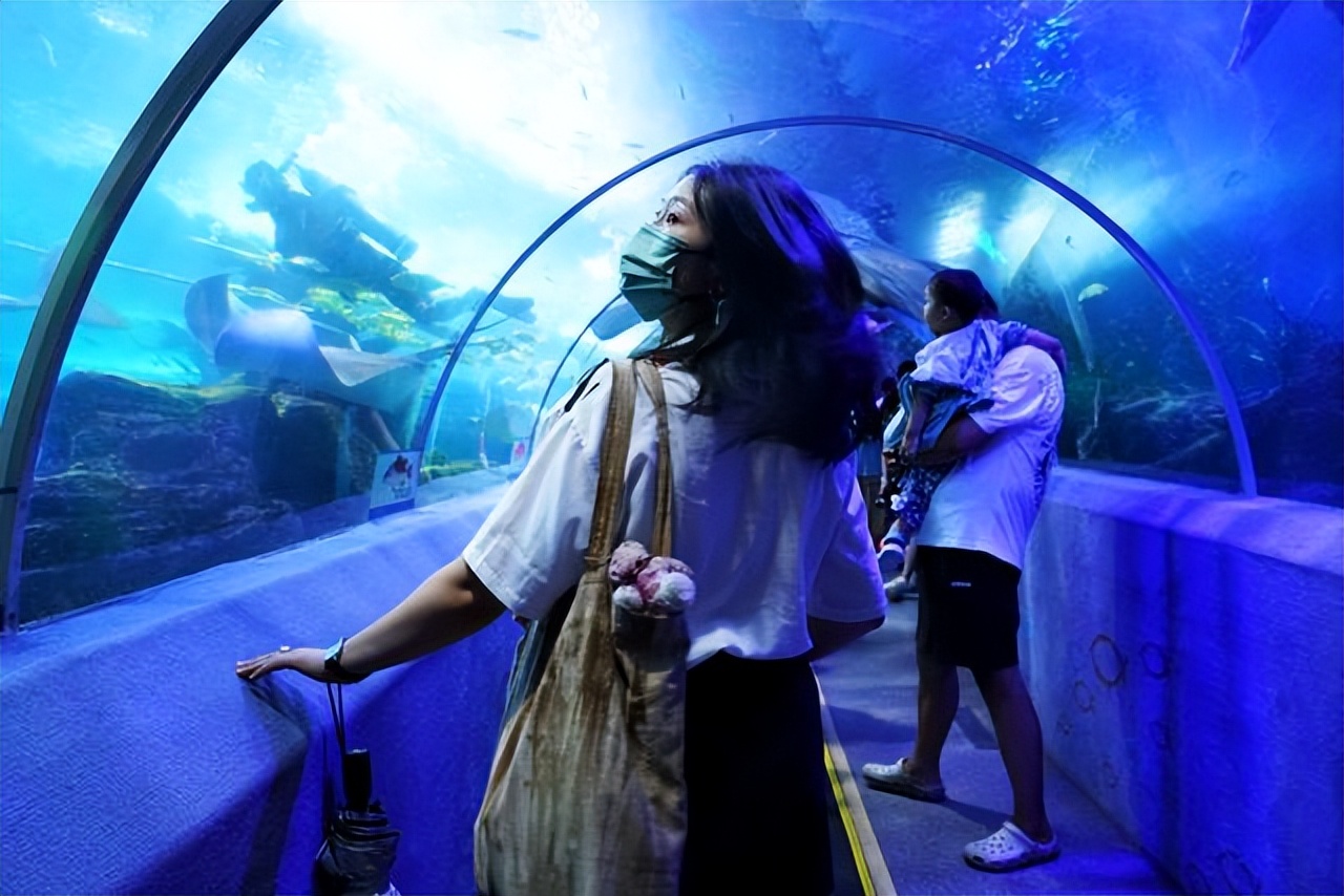 青岛夏日旅行,青岛之旅享受夏日与海风