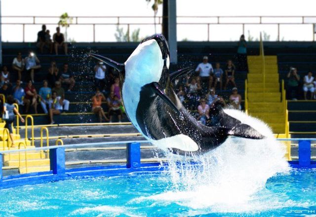 100个难得一见照片,火山爆发时的岩浆图片真实