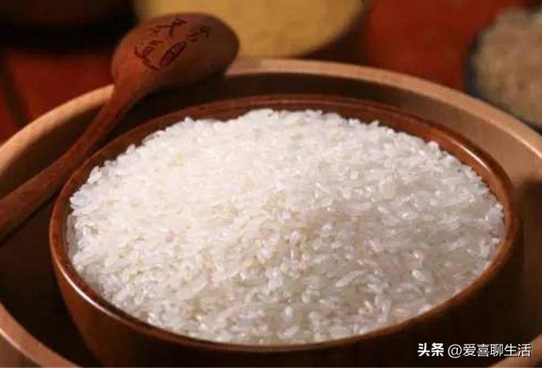 小暑的季节吃什么食材最好,意想不到的吃法小暑吃它正合适