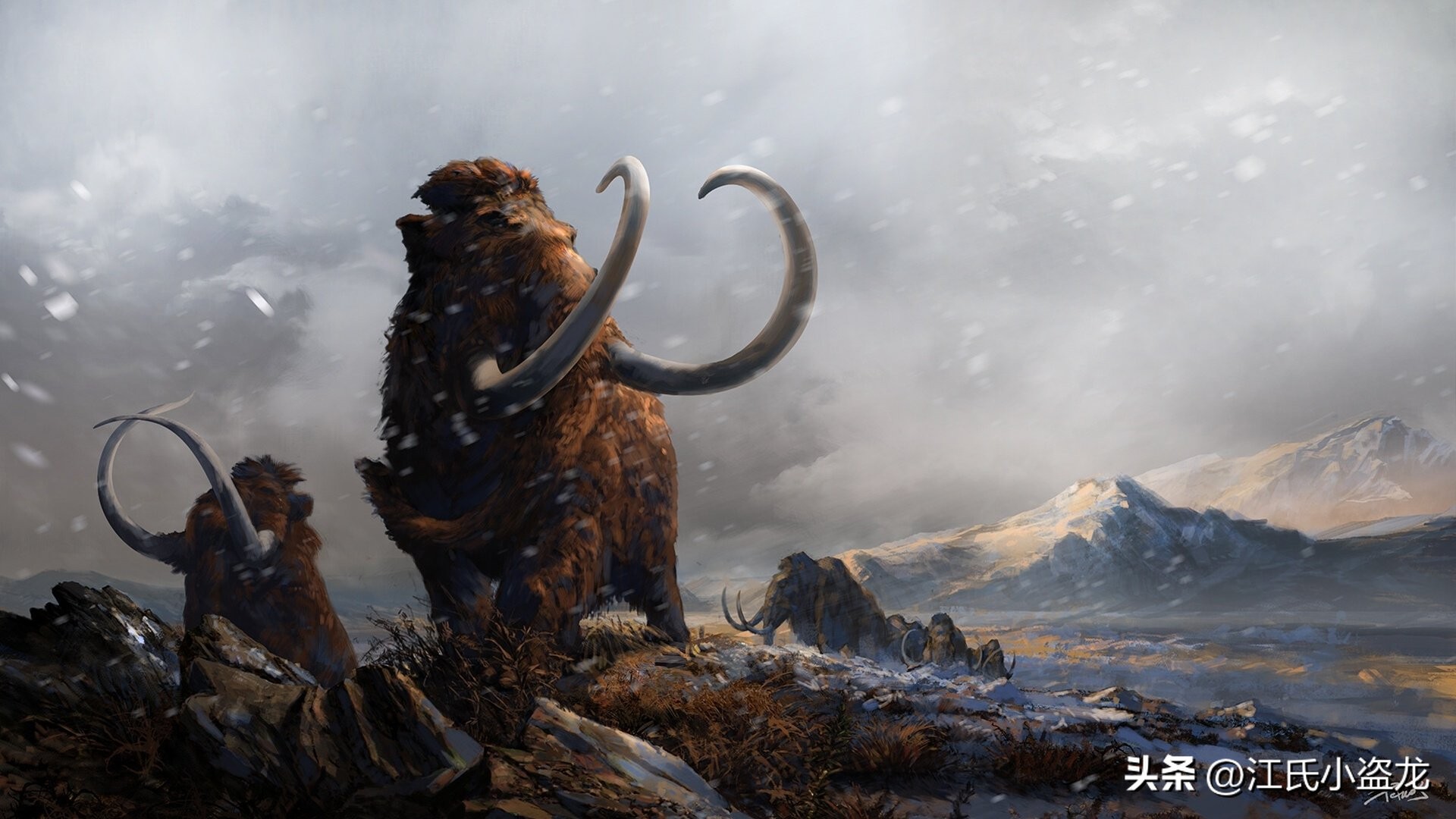 史前巨兽猛犸象还能复活吗,史前巨兽板齿犀和猛犸象谁最大