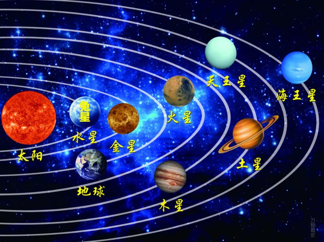 那年那兔那些年的故事,那年那兔那些事儿百年风云