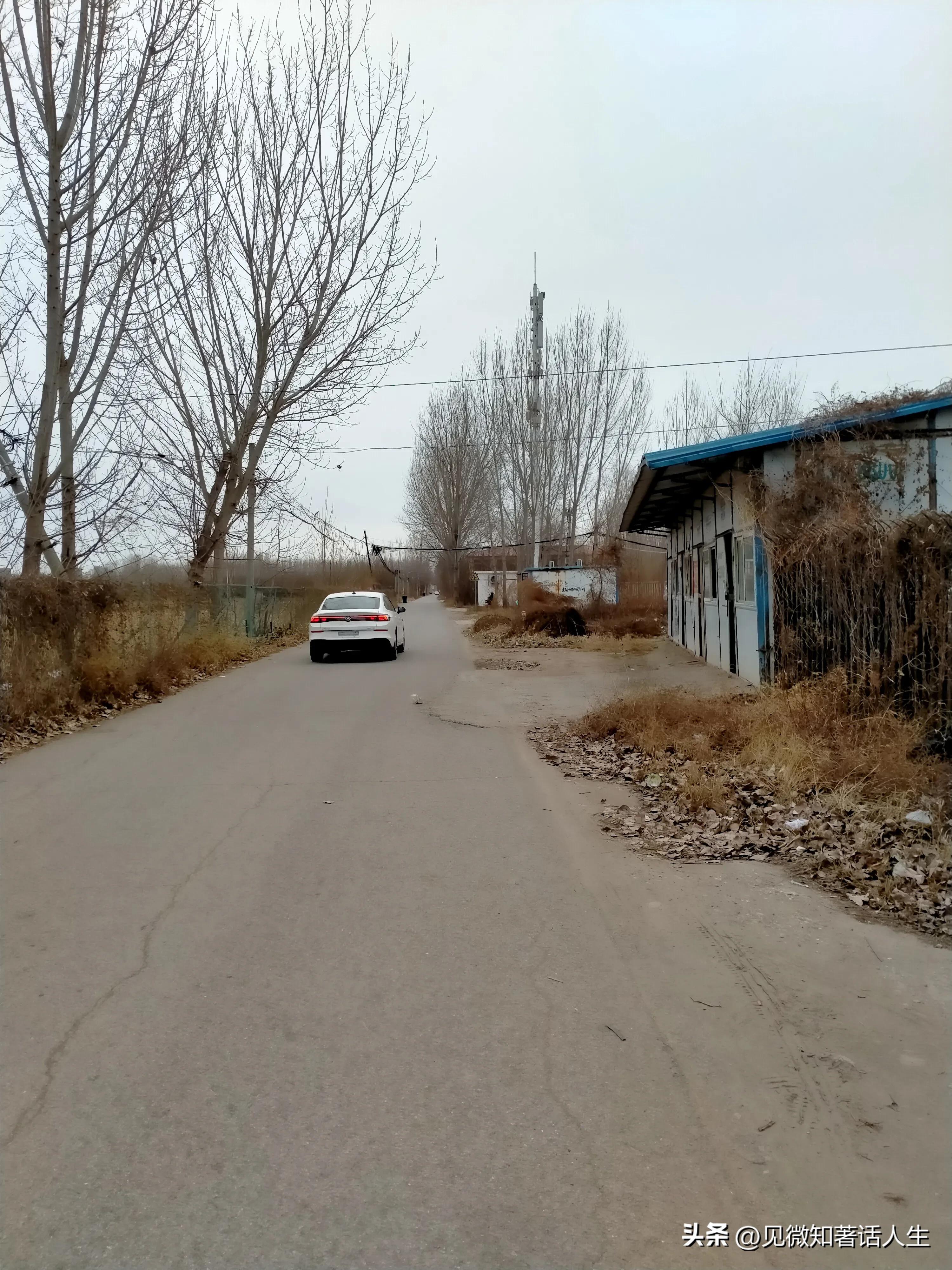 霸州旅游一日游攻略,胜芳一日游最佳路线