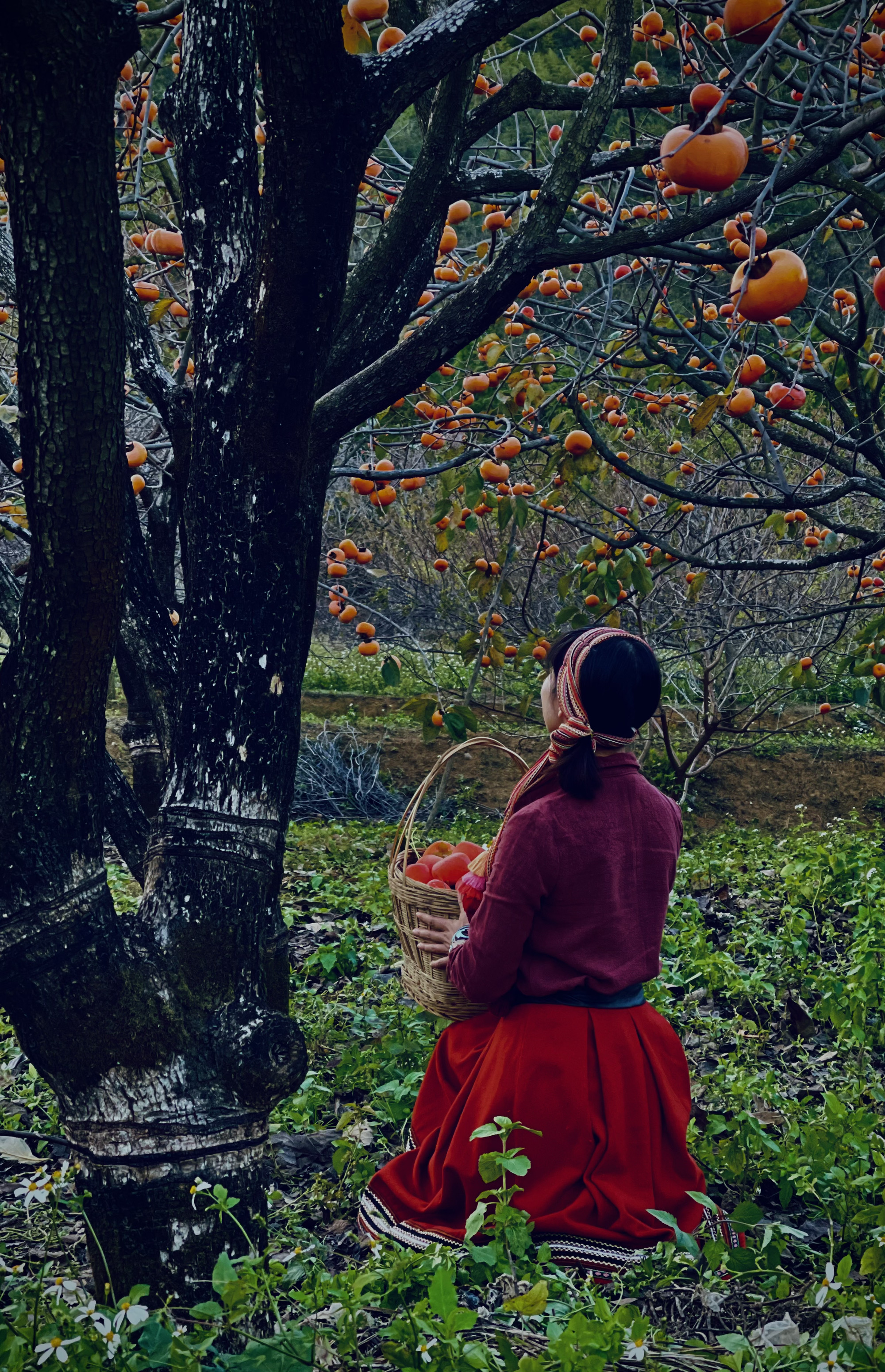 和平村，向往田园牧歌的乡间生活