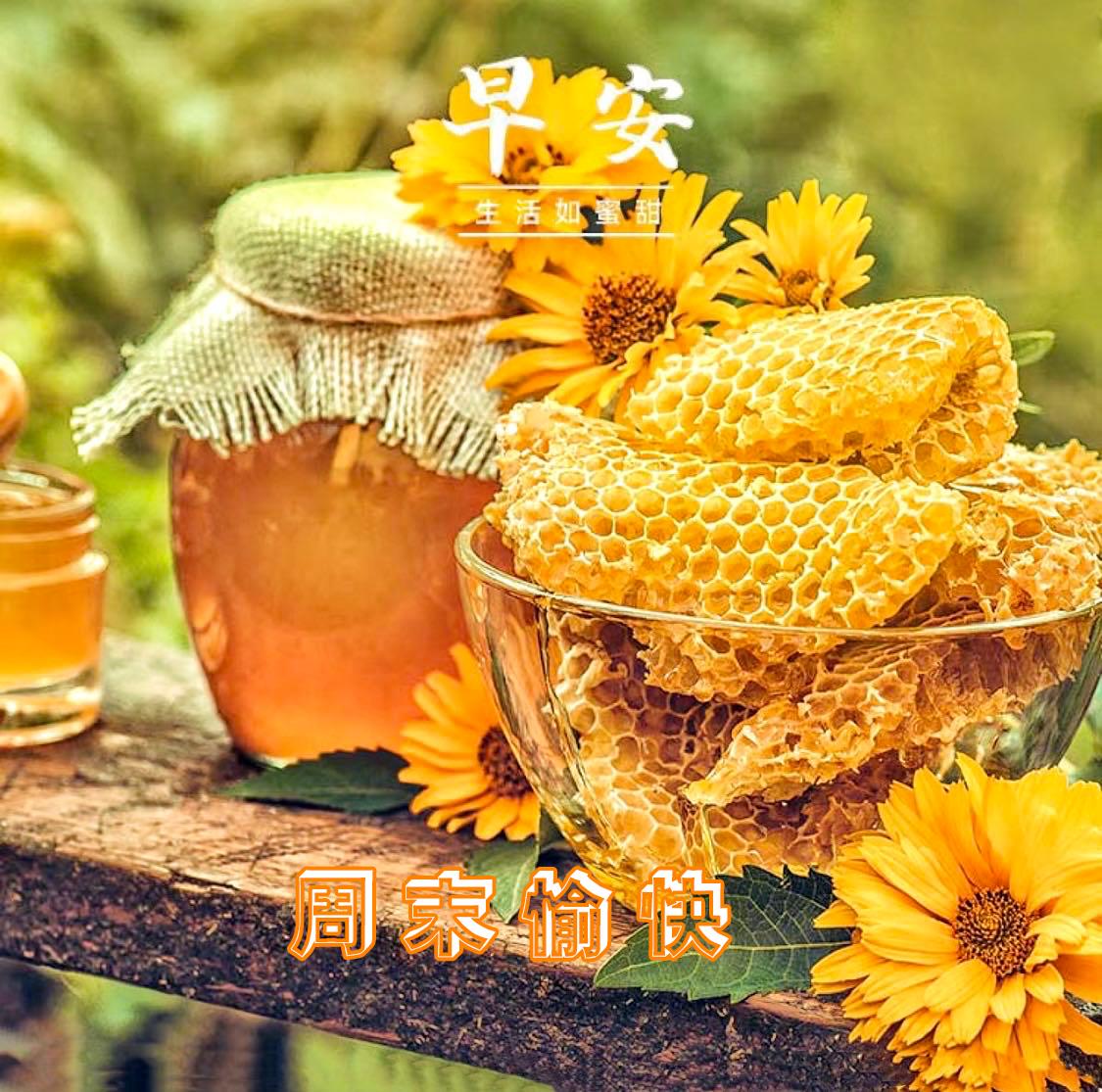 节日快乐照片卡点,节日快乐好好休息图片