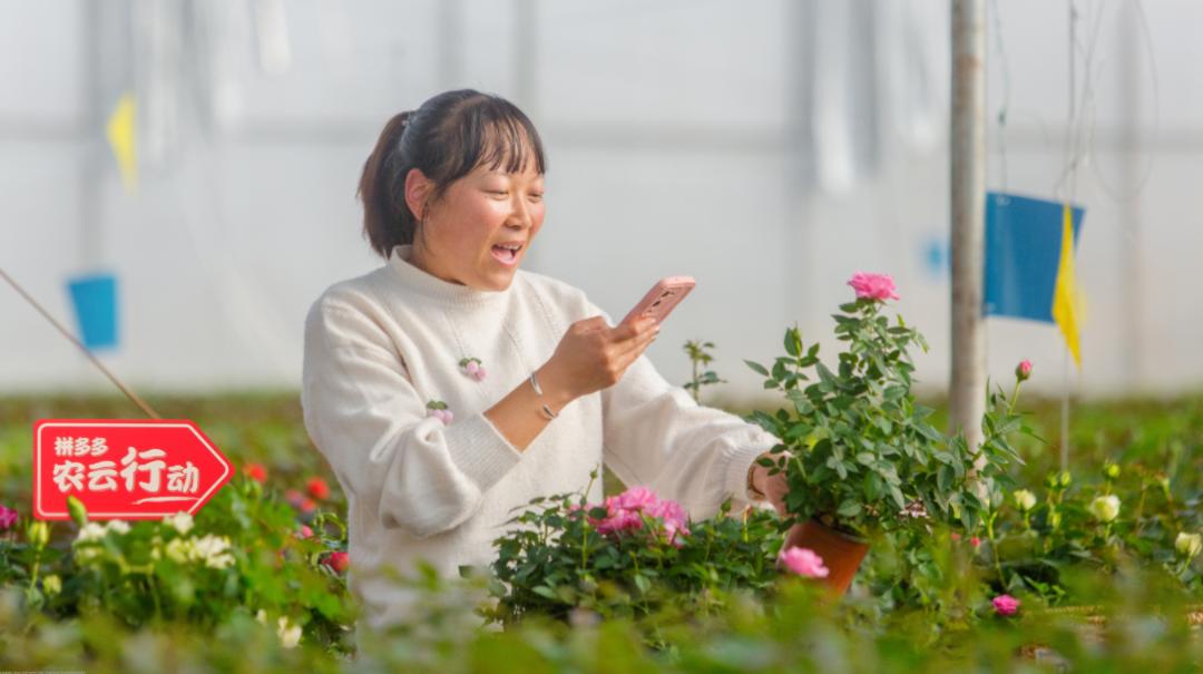 拼多多2023二季度财报发布时间,拼多多发布2022年二季度财报