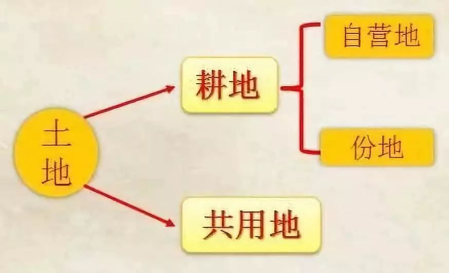 九上历史西欧庄园的特点,历史九上第八课西欧庄园讲了什么