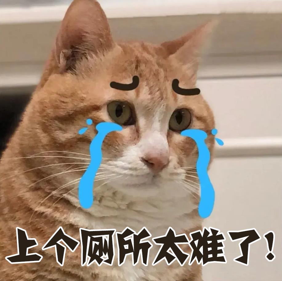 猫能被捂死吗,猫能被自己的屎臭死吗