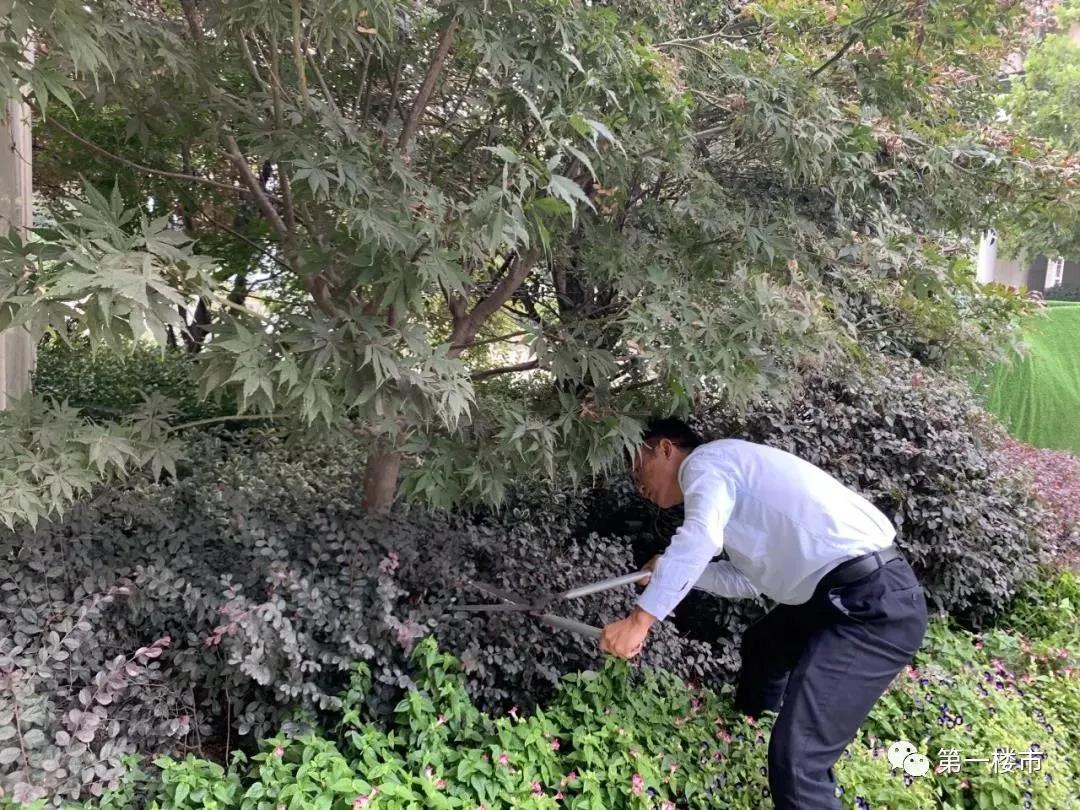 最新合肥小区物业排名,合肥物业排名前十的品牌