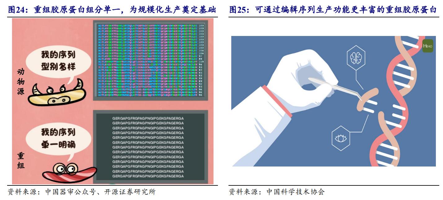 鑳跺師铔嬬櫧鍥藉唴宸蹭笂甯傜殑鍏,鑳跺師铔嬬櫧鑳藉惁鎴愪负璺ㄨ秺鍛ㄦ湡鍘熸枡
