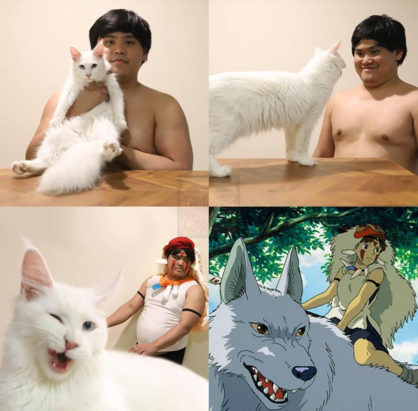 哈哈哈这些猫咪cospaly好怪，再看一眼，还是好怪