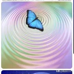 生活经济中的博弈论案例,在日常生活中的博弈论