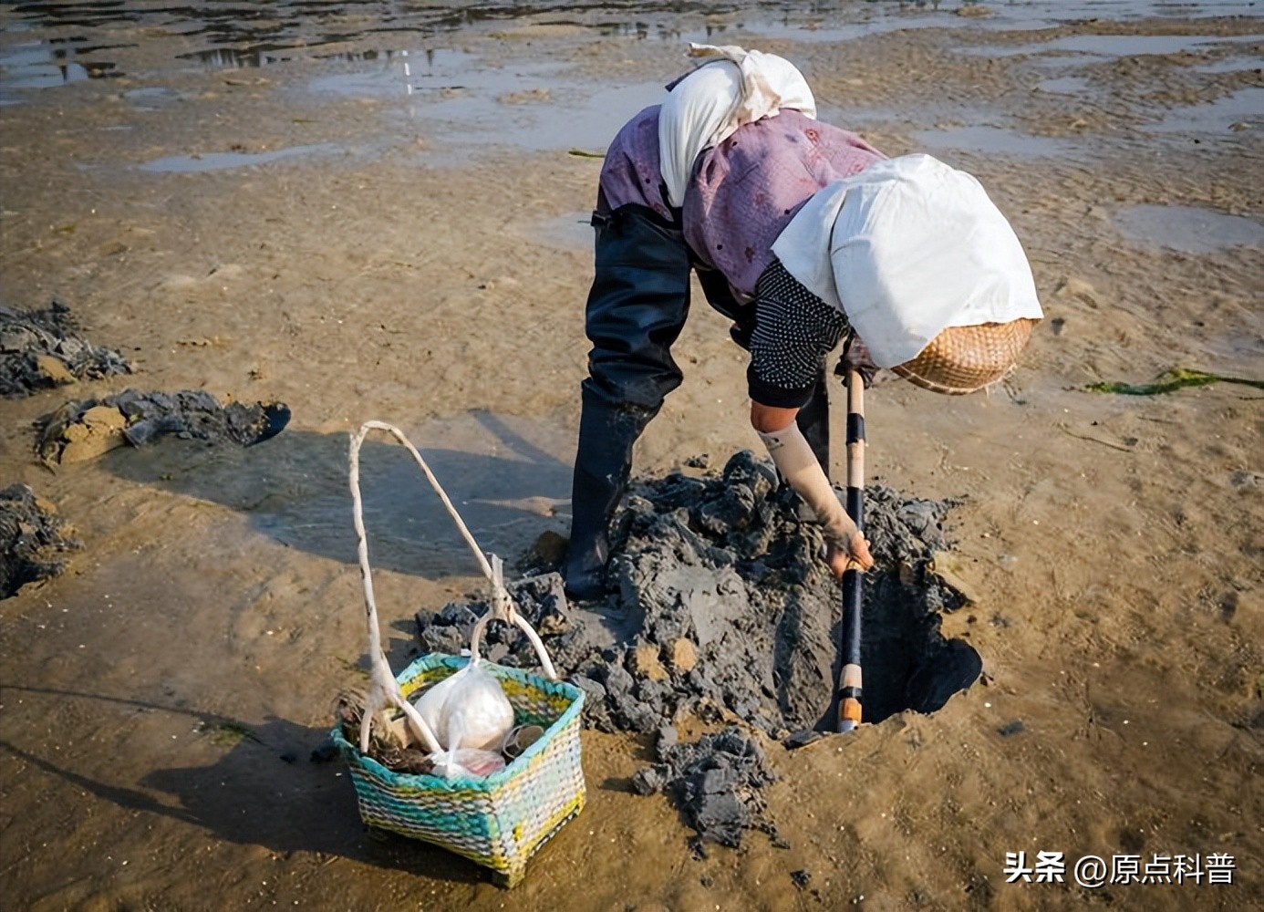 2022赚钱不起眼行业,盘点不起眼挣大钱的职业