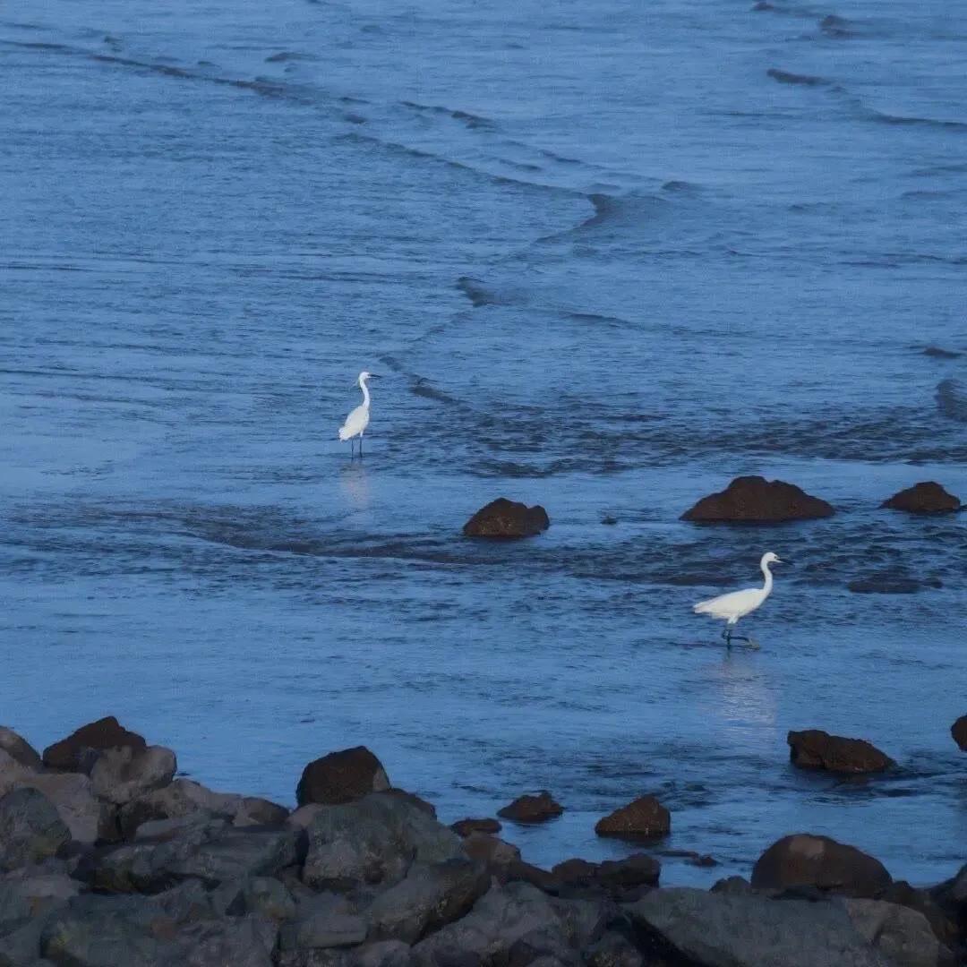 朋友圈背景图留给未来的你,朋友圈背景图你是我的光