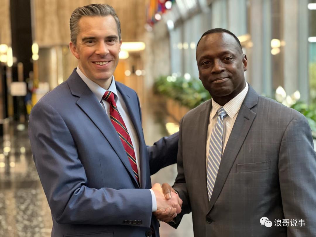 国务院情报研究所,国务院情报研究司