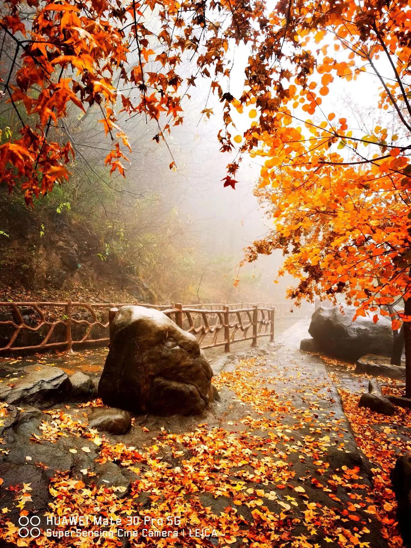 对大a股票的感悟,对a股大盘每日走势预判分析