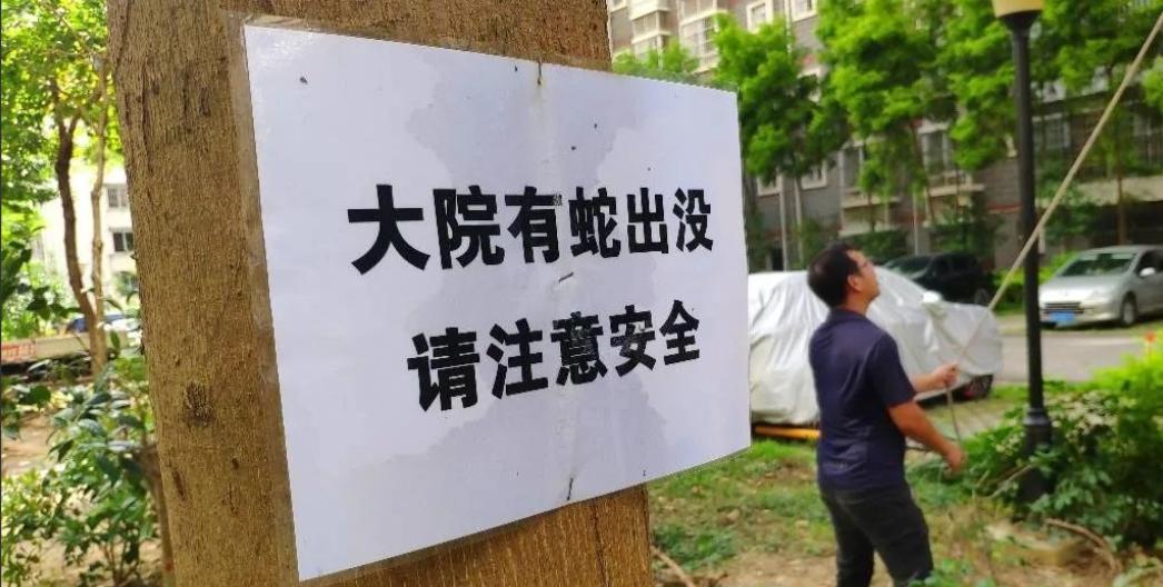 蛇从马桶里面爬出来咬伤人,女子被蛇咬到手上有蛇纹