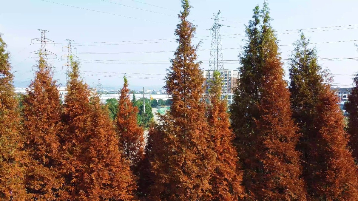 成都周边游最佳景点街子古镇,都江堰附近的旅游景点推荐