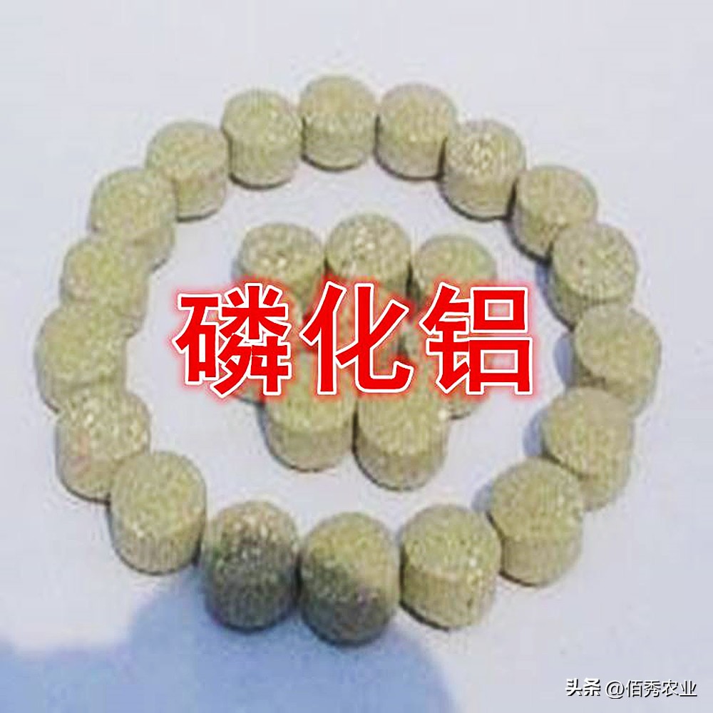 现在什么药代替磷化铝,磷化铝能不能被替代