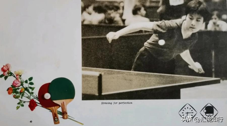 |玫瑰红|五、少年——是希望因为无惧权势激情满胸