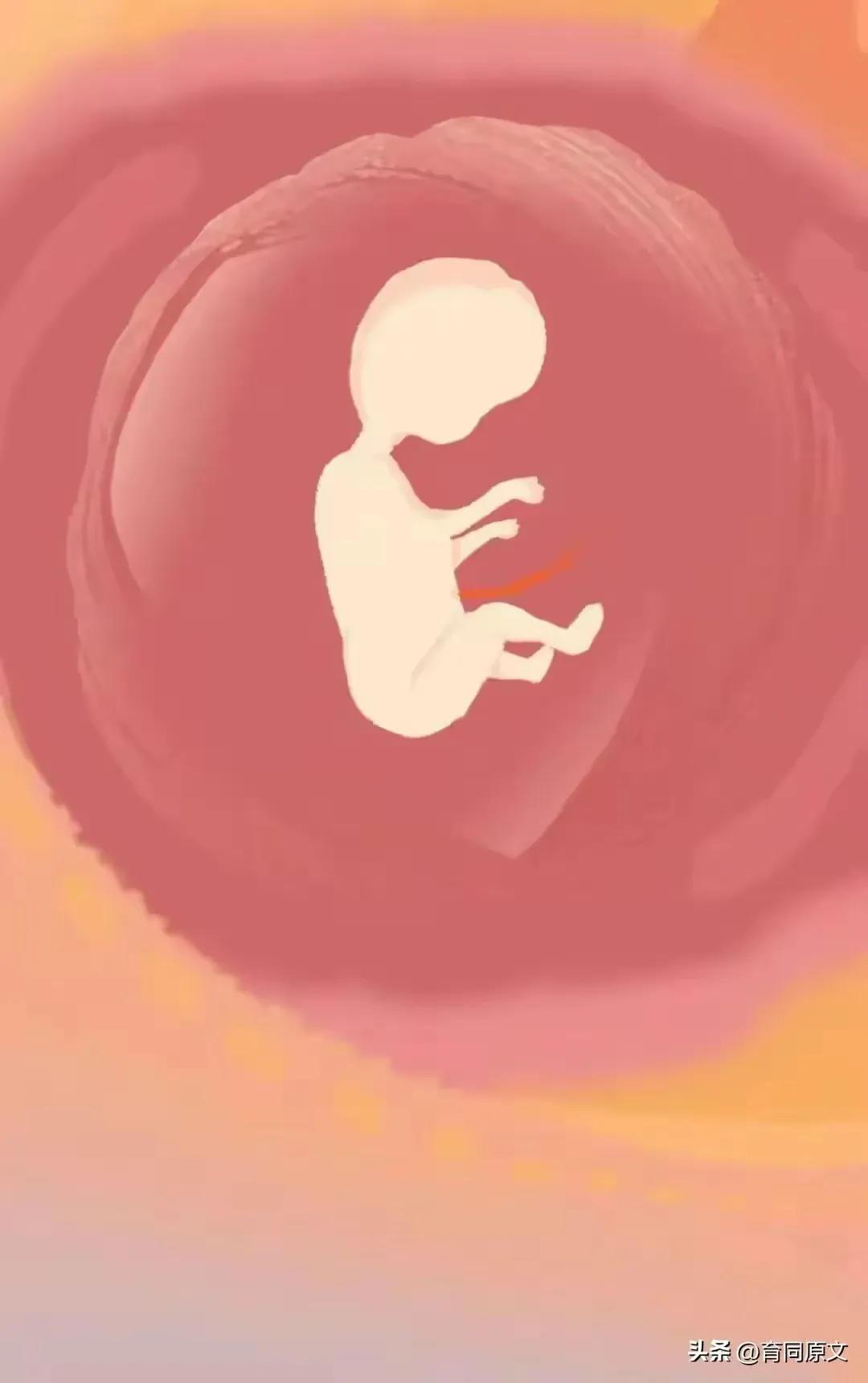 关于怀孕初期的漫画,漫画女性怀孕后都要经历些什么