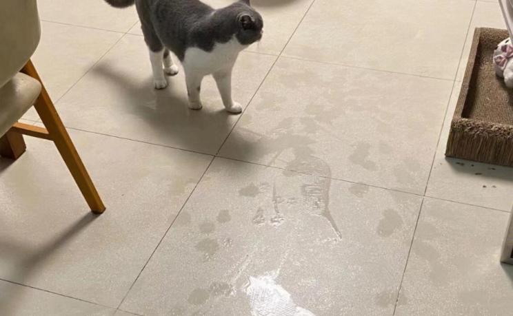 提醒广东“搬砖”的北方朋友：这3款家电尽早入手，做到有备无患