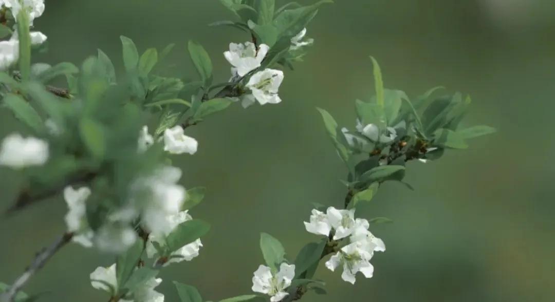 男朋友没有了分享欲怎么办,感觉男朋友不再有分享欲