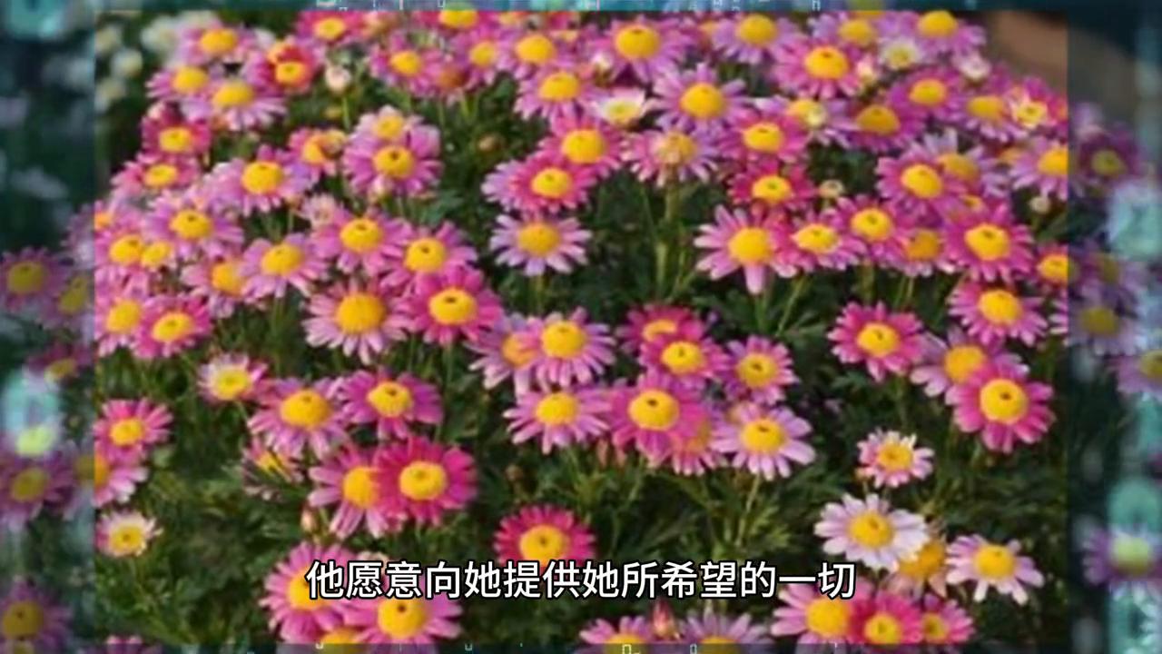 每天更新中，每个视频音频都是相连的