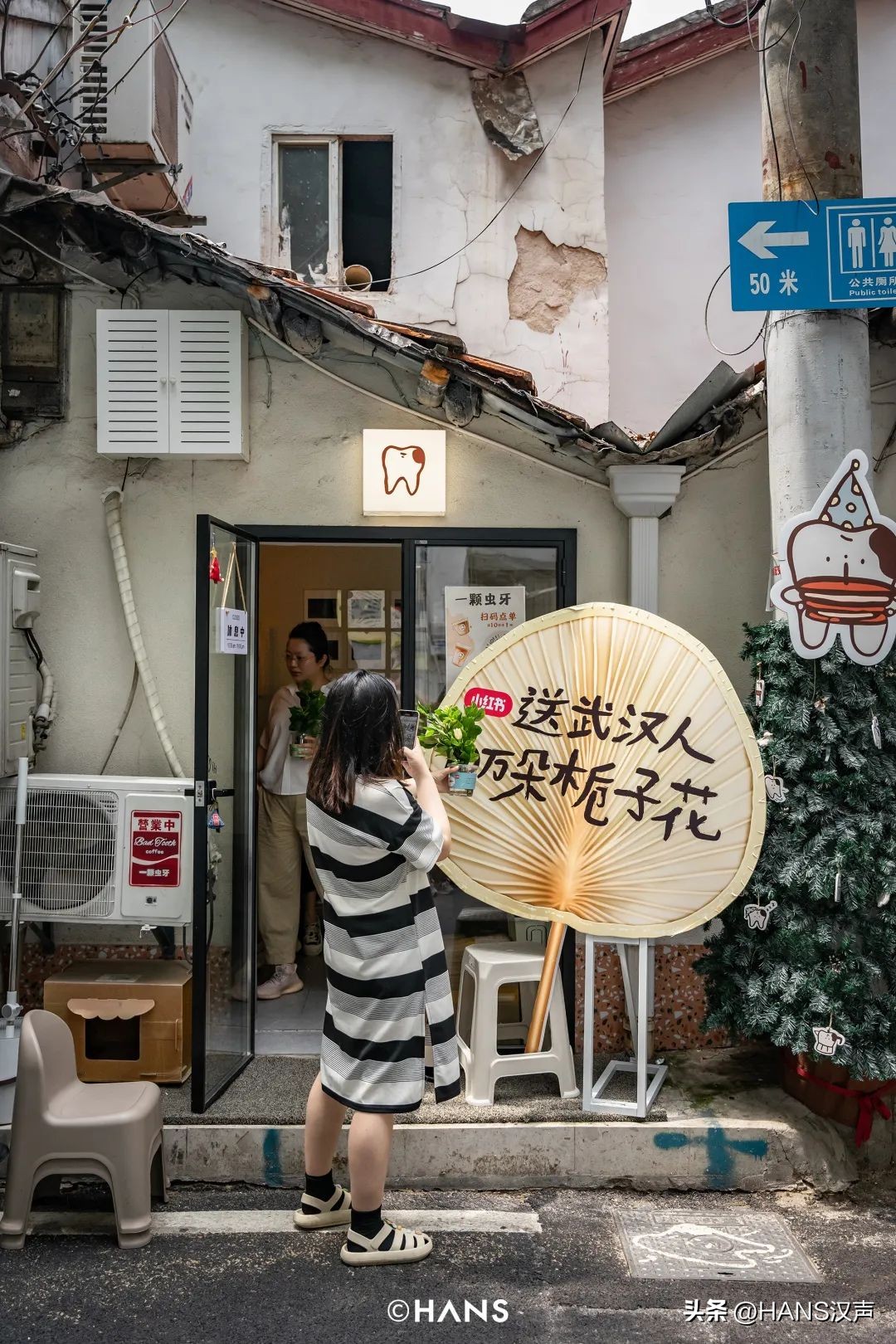 武汉一万朵栀子花,武汉人栀子花