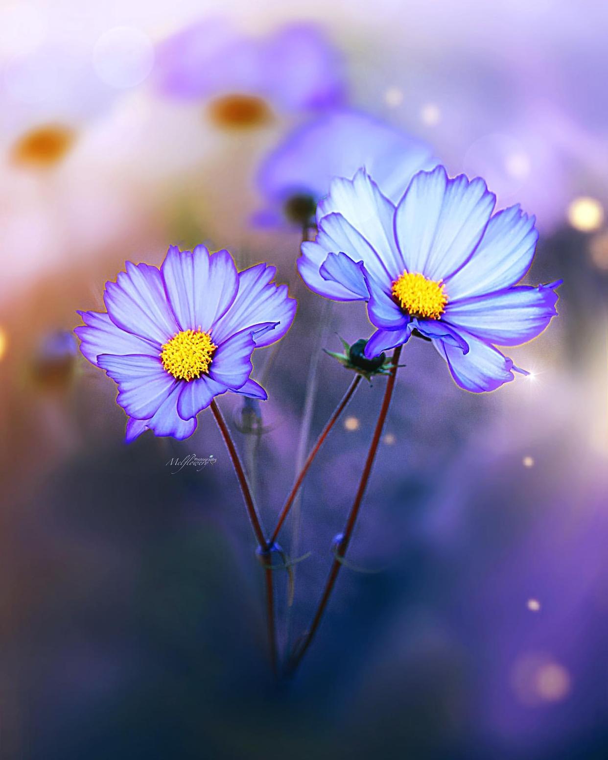 成熟说说男生超拽霸气句子,男生霸气说说经典语录